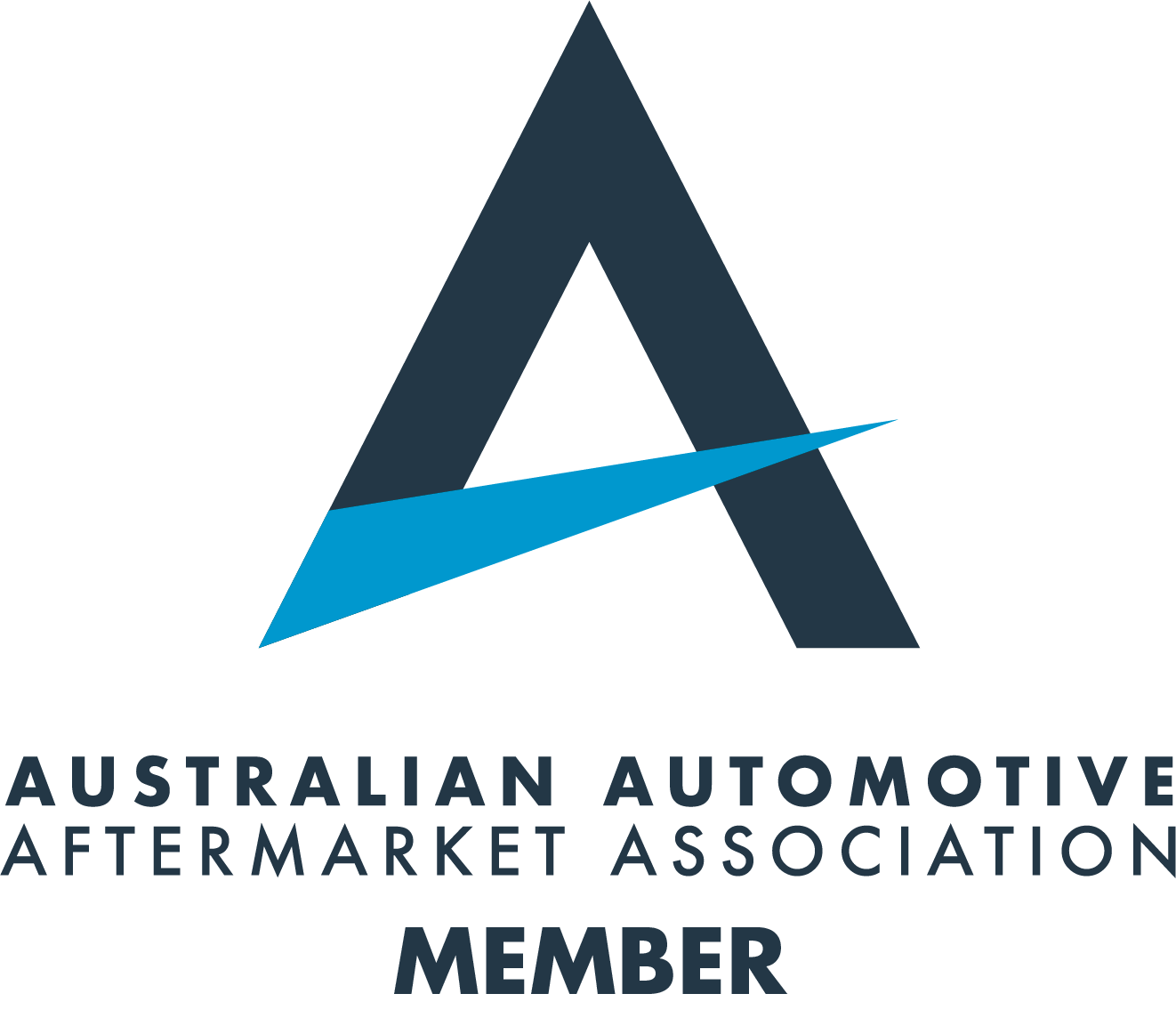 AAAA Logo 2019 Stacked Pos Member